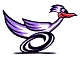 roadrunner